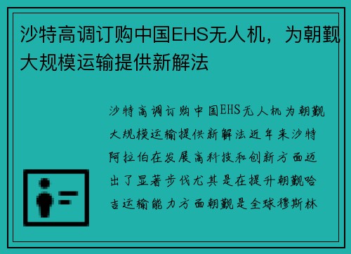 沙特高调订购中国EHS无人机，为朝觐大规模运输提供新解法